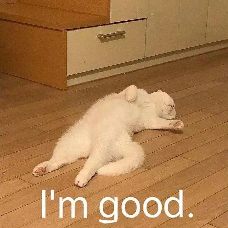 留学手机卡办理攻略,去法国留学办理什么银行卡