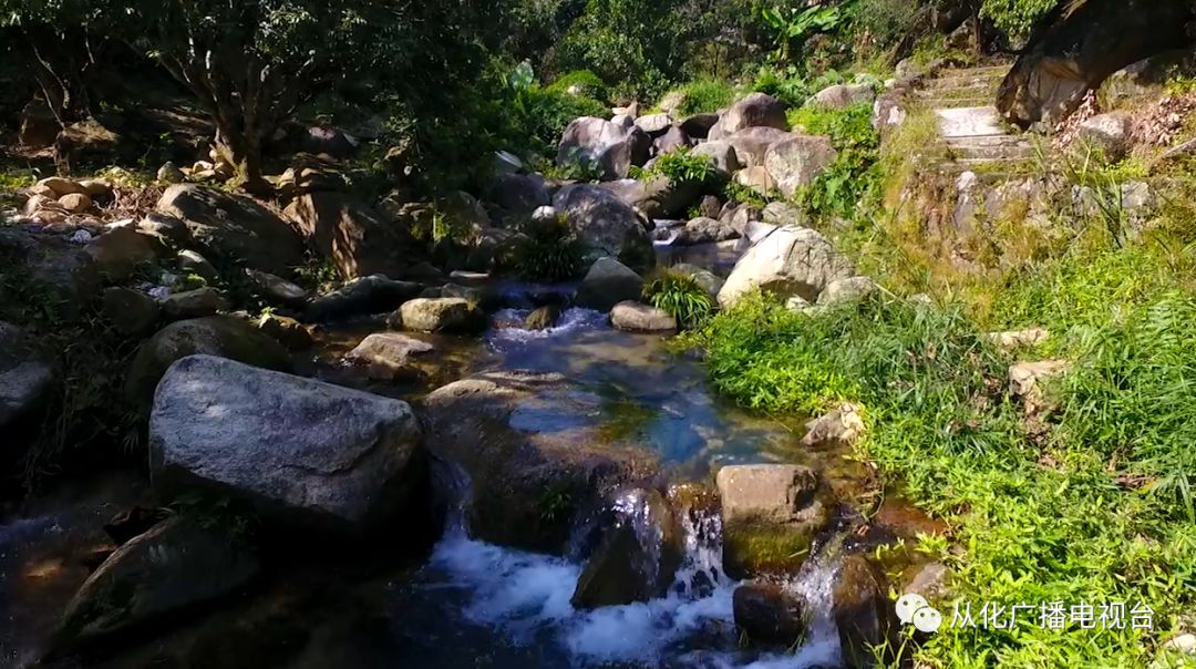 农村美丽庭院志愿服务,志愿者参与美丽乡村墙绘