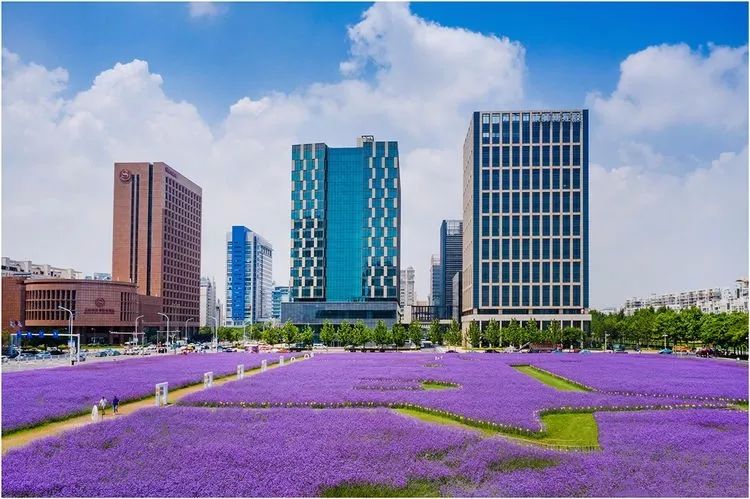 七月的泰达，美到没朋友