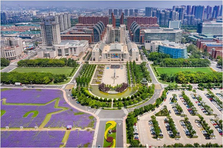 七月的泰达，美到没朋友