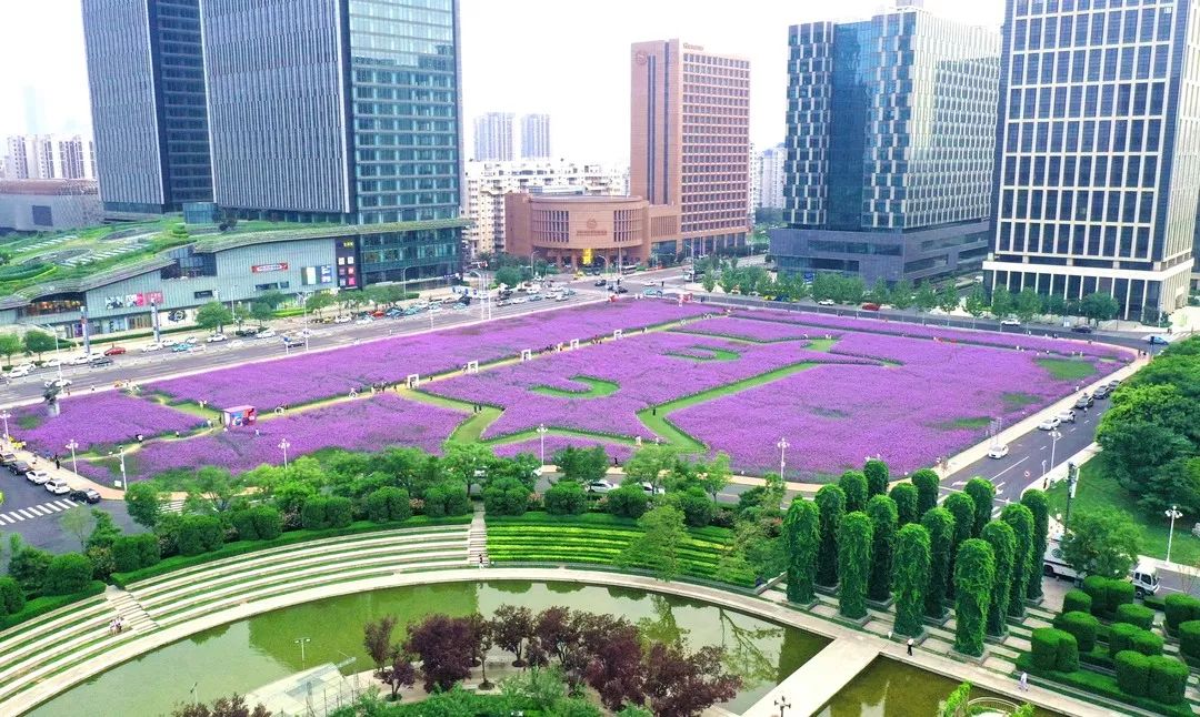 七月的泰达，美到没朋友