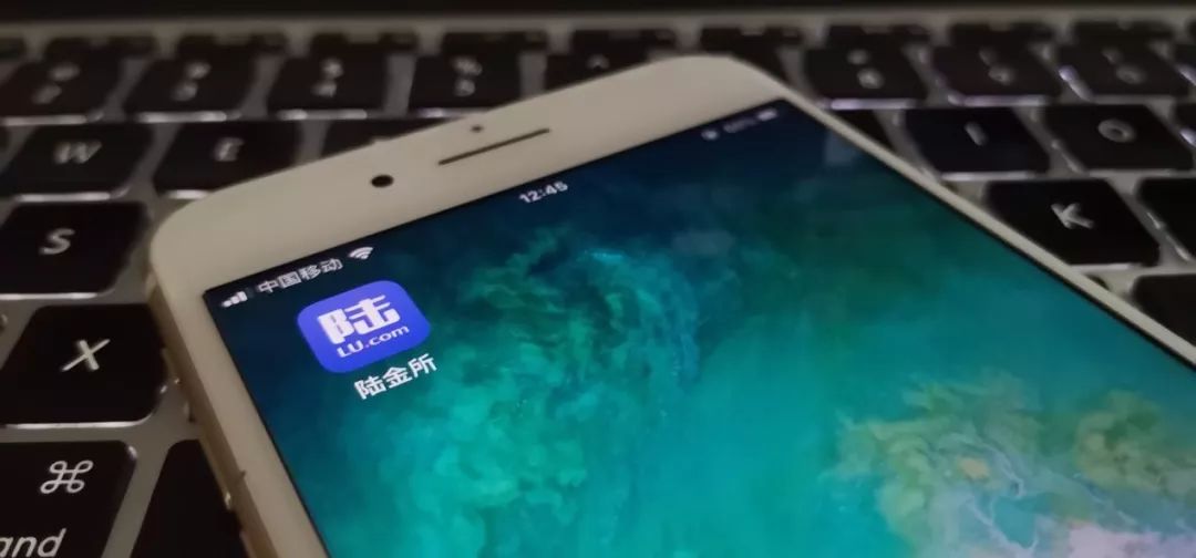 陆金所网贷新规,陆金所网贷业务占比