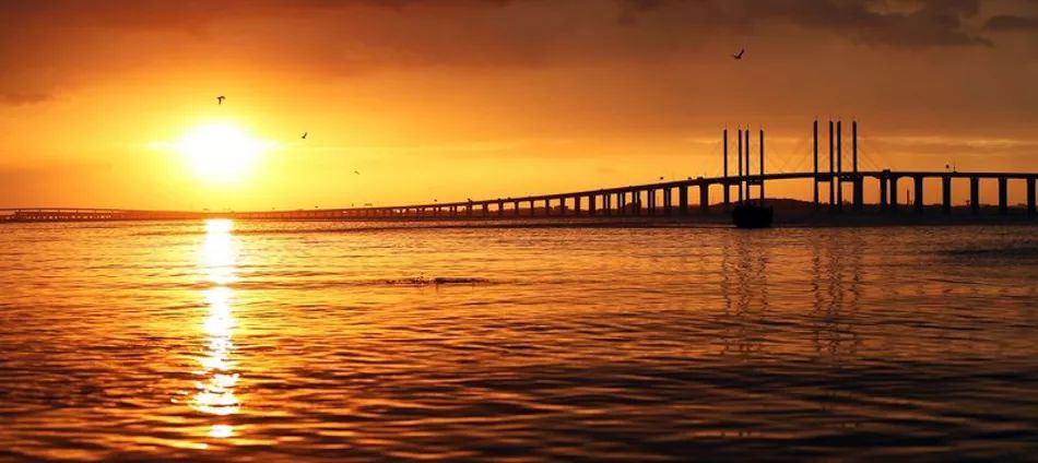 我爱这片蓝色的国土”网络主题活动圆满落幕吹响山东海洋强省集结号