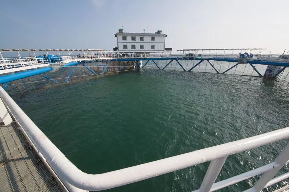 我爱这片蓝色的国土”网络主题活动圆满落幕吹响山东海洋强省集结号