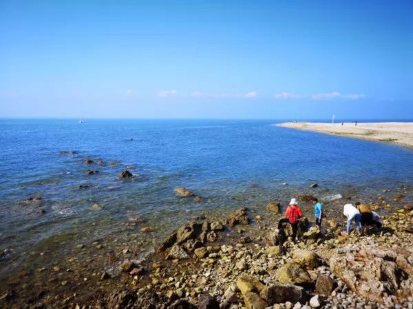 我爱这片蓝色的国土”网络主题活动圆满落幕吹响山东海洋强省集结号