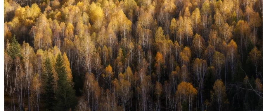 为什么作家喜欢读书,为什么作家喜欢写土地