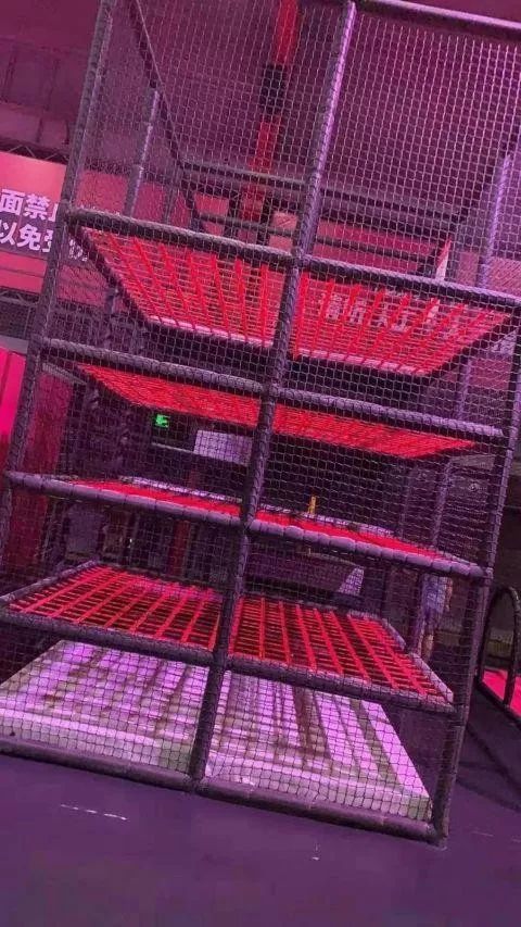 小孩游乐场网红秋千折断颈椎,18岁女孩玩蹦床摔倒瘫痪