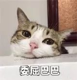 小孩游乐场网红秋千折断颈椎,18岁女孩玩蹦床摔倒瘫痪