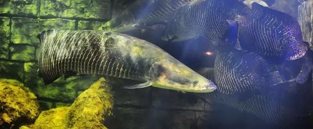 亲子游两天一夜度假酒店,五星酒店三日游