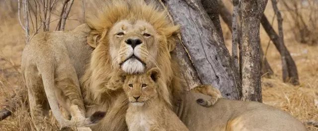 亲子游两天一夜度假酒店,五星酒店三日游