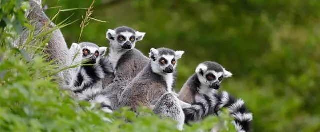 亲子游两天一夜度假酒店,五星酒店三日游