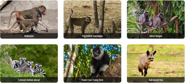 亲子游两天一夜度假酒店,五星酒店三日游