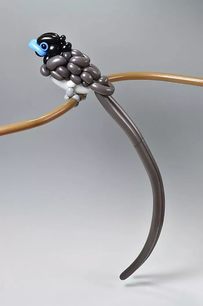 全球最神奇的动物园,日本神奇动物园