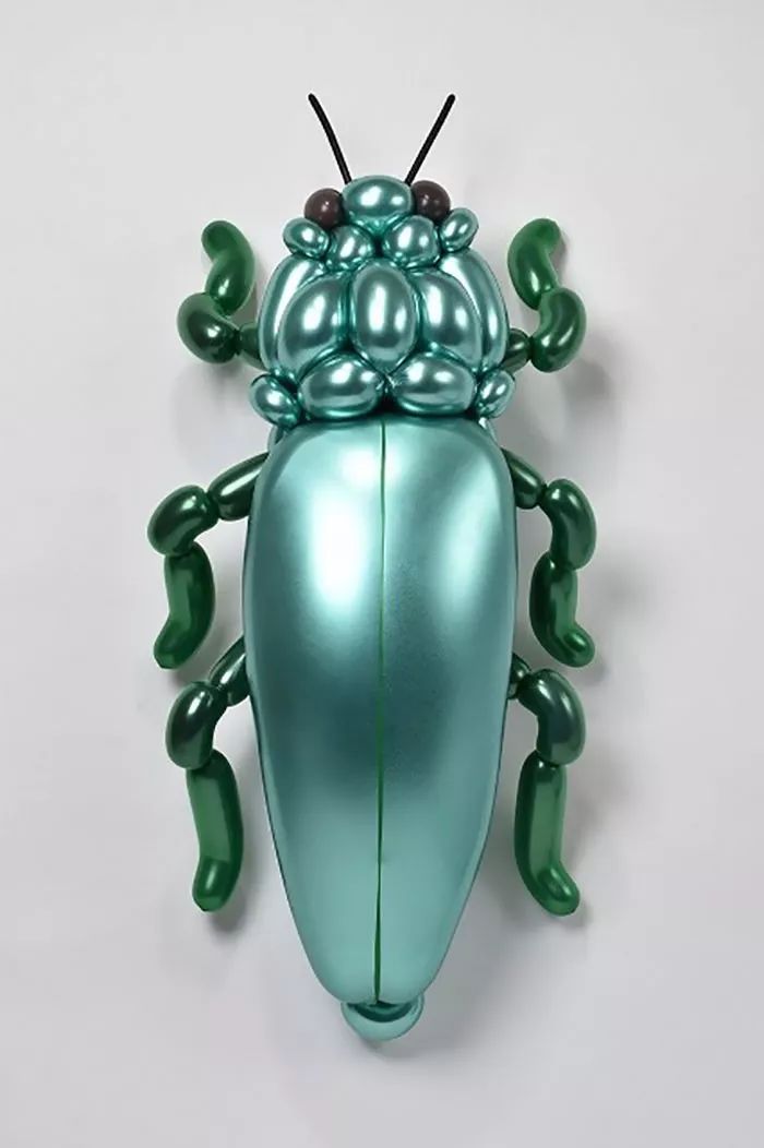 全球最神奇的动物园,日本神奇动物园