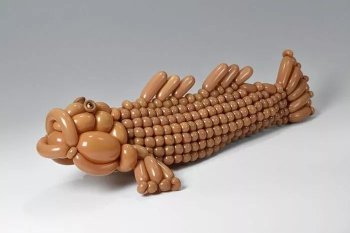 全球最神奇的动物园,日本神奇动物园