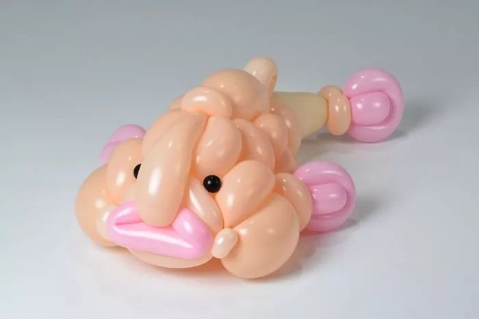 全球最神奇的动物园,日本神奇动物园