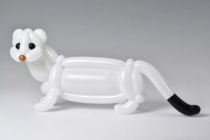 全球最神奇的动物园,日本神奇动物园