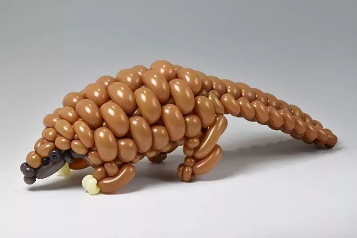 全球最神奇的动物园,日本神奇动物园