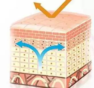 艾滋患者咬伤法官,艾滋病携带者咬伤法官