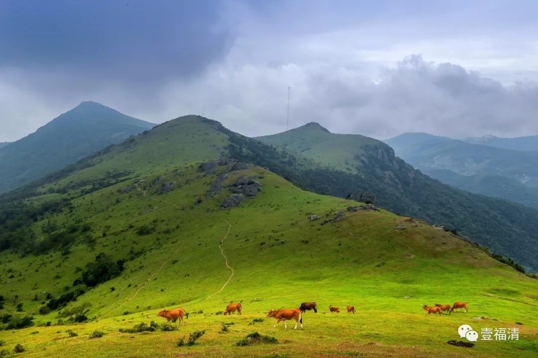 每年晋位提升，福清的颜值和实力就是这么出色