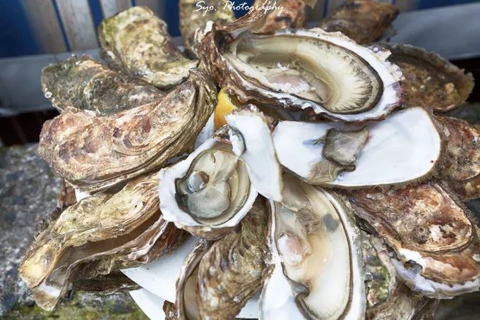 跟着汉堡,用味蕾开启一场意法之旅