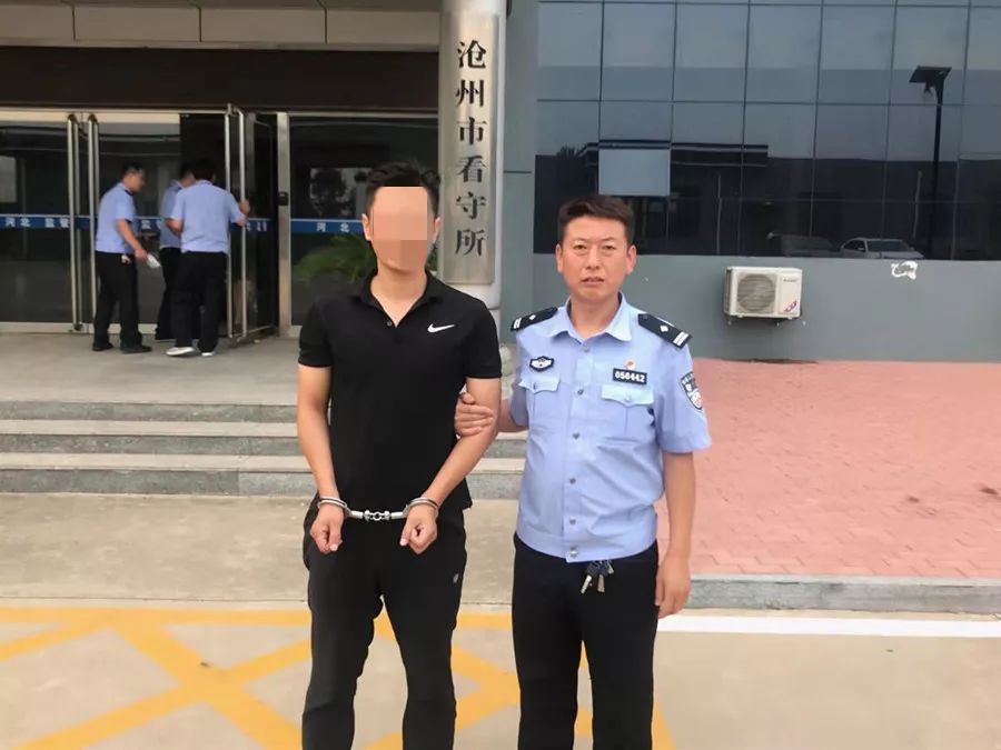 卖宠物被举报罚款,网上买宠物犯法吗