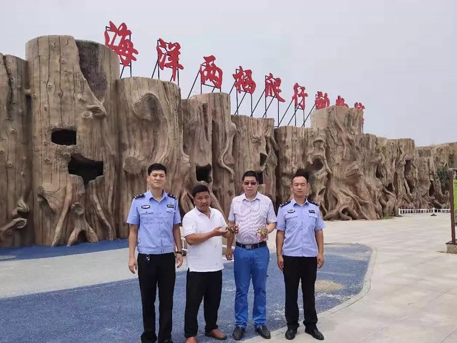 卖宠物被举报罚款,网上买宠物犯法吗