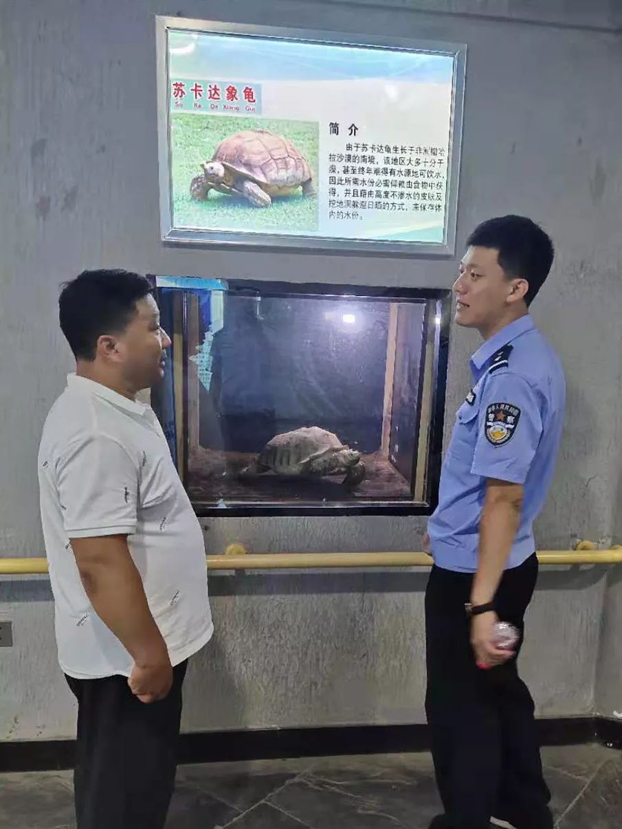 卖宠物被举报罚款,网上买宠物犯法吗