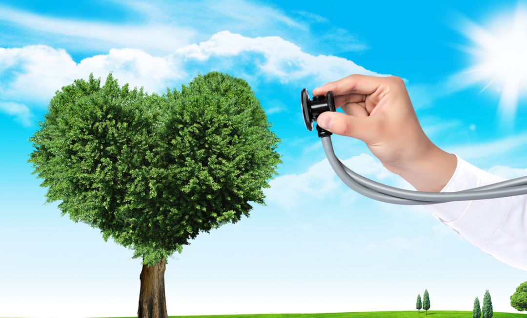 哪些证书考了可以涨工资,大汇总拿下这些证书工资最高可涨