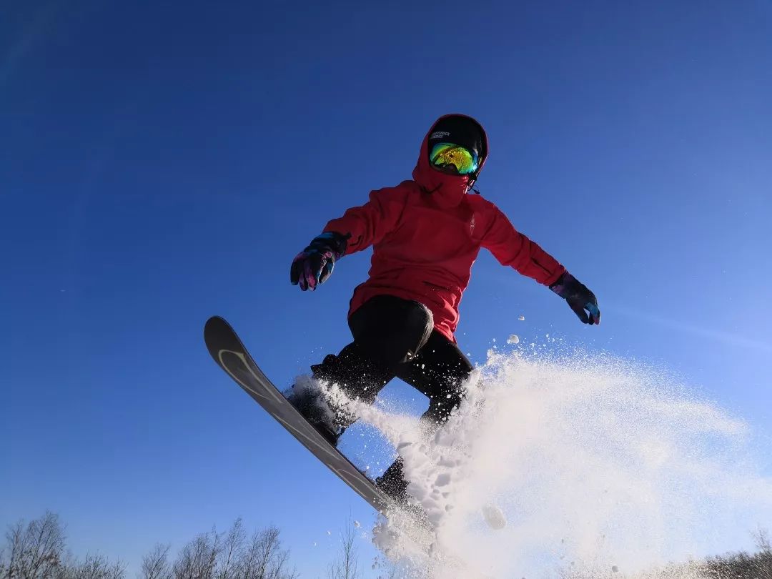 2019呼伦贝尔学院招生计划,2019呼伦贝尔学院招生章程