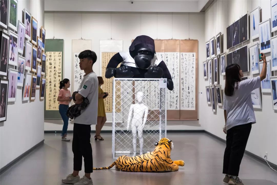 2019呼伦贝尔学院招生计划,2019呼伦贝尔学院招生章程