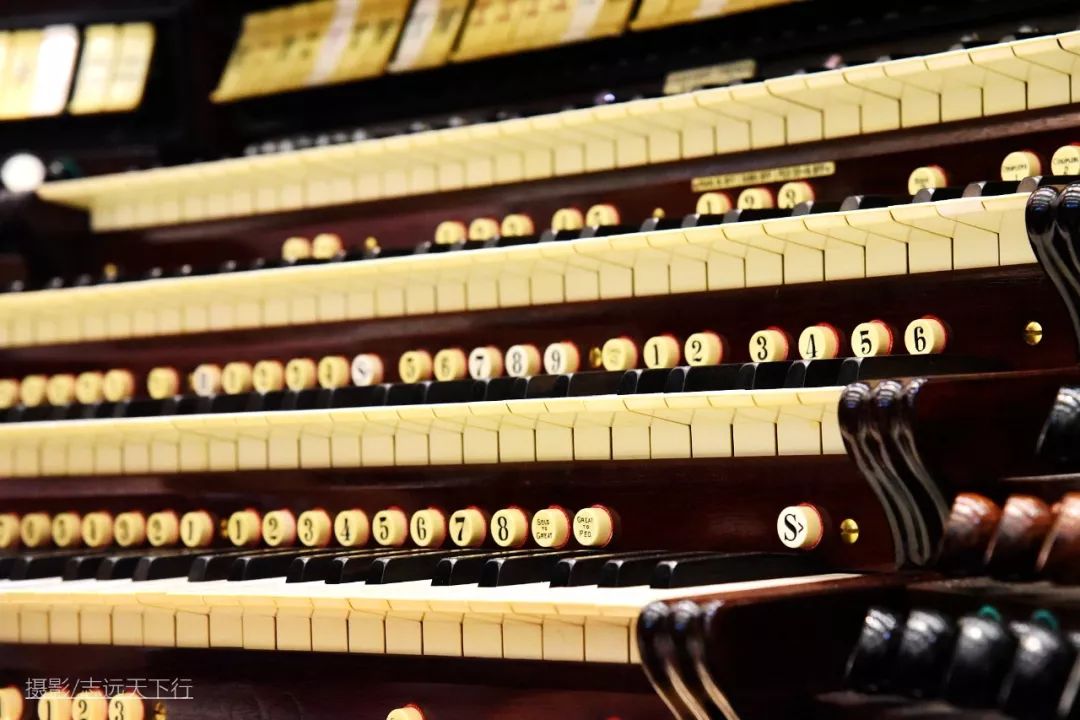 厦门带孩子玩景点攻略推荐,厦门带孩子最值得去的旅游景点