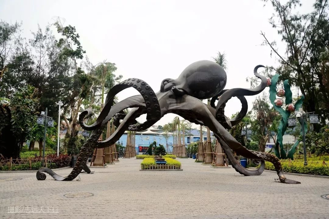 厦门带孩子玩景点攻略推荐,厦门带孩子最值得去的旅游景点