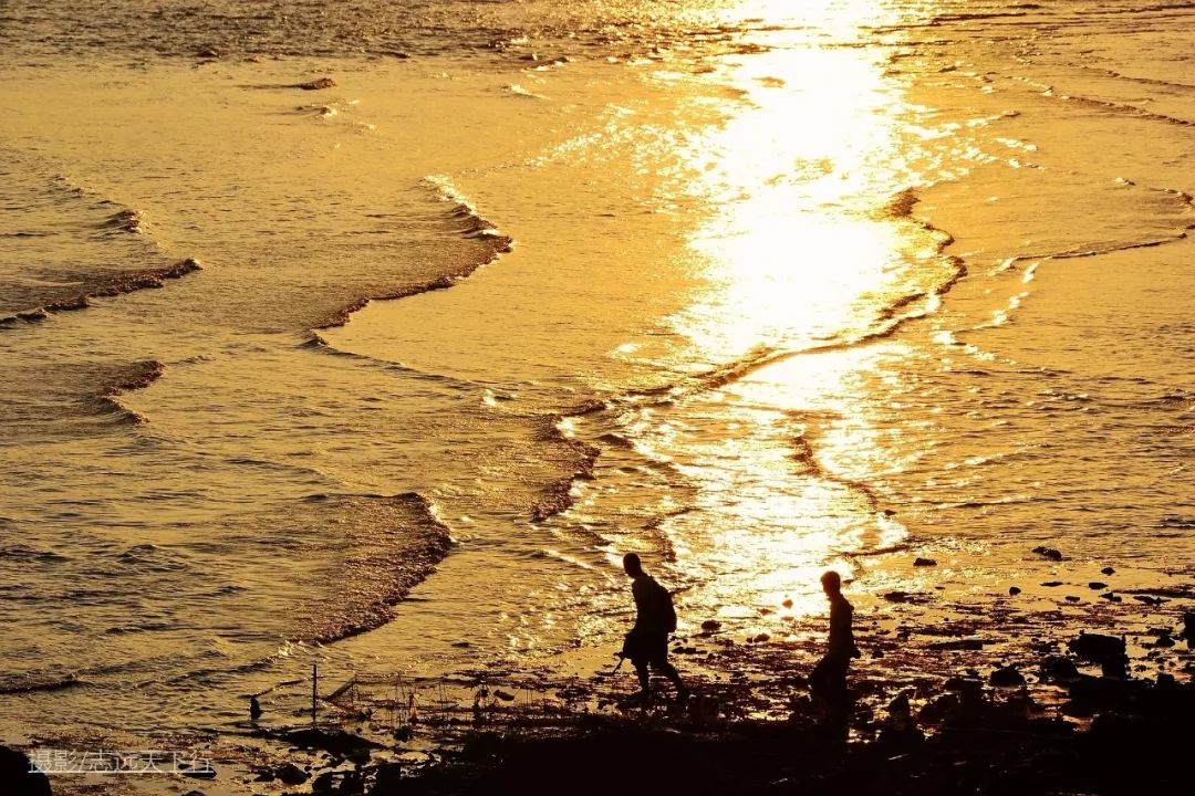 厦门带孩子玩景点攻略推荐,厦门带孩子最值得去的旅游景点