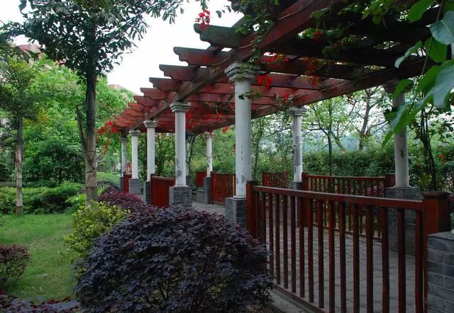 重庆中考普高是怎样填志愿表的,重庆中考填报志愿学校一览表