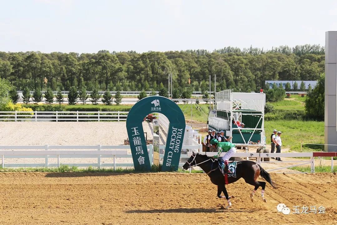 名马之后，发现无限“商机”！国际赛冠军登陆第六期“玉龙”马匹网络拍卖会