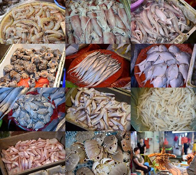 鼓浪屿去了一次再也不想去第二次,旅游住在鼓浪屿的感受