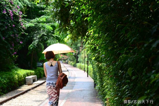 鼓浪屿去了一次再也不想去第二次,旅游住在鼓浪屿的感受