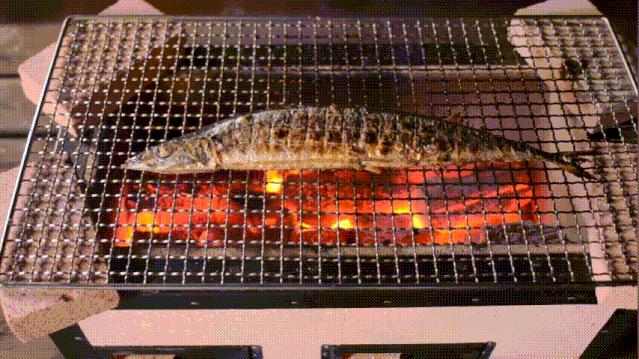 海鲜市场纯天然的7种鱼,水产市场什么鱼可以回家养