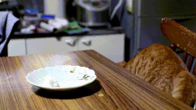 海鲜市场纯天然的7种鱼,水产市场什么鱼可以回家养