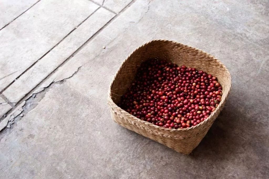 中度烘焙拼配咖啡豆推荐,咖啡拼配和soe的区别