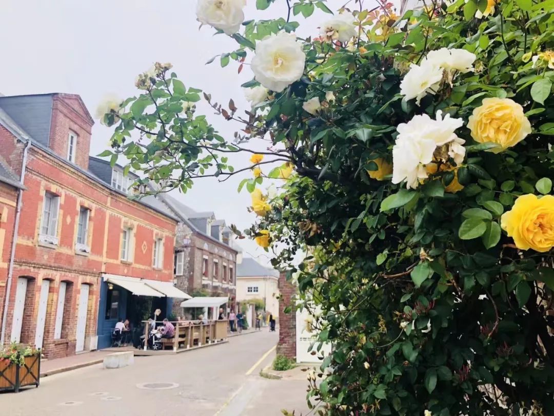 法国人旅游景点排行榜,法国旅游小城市推荐