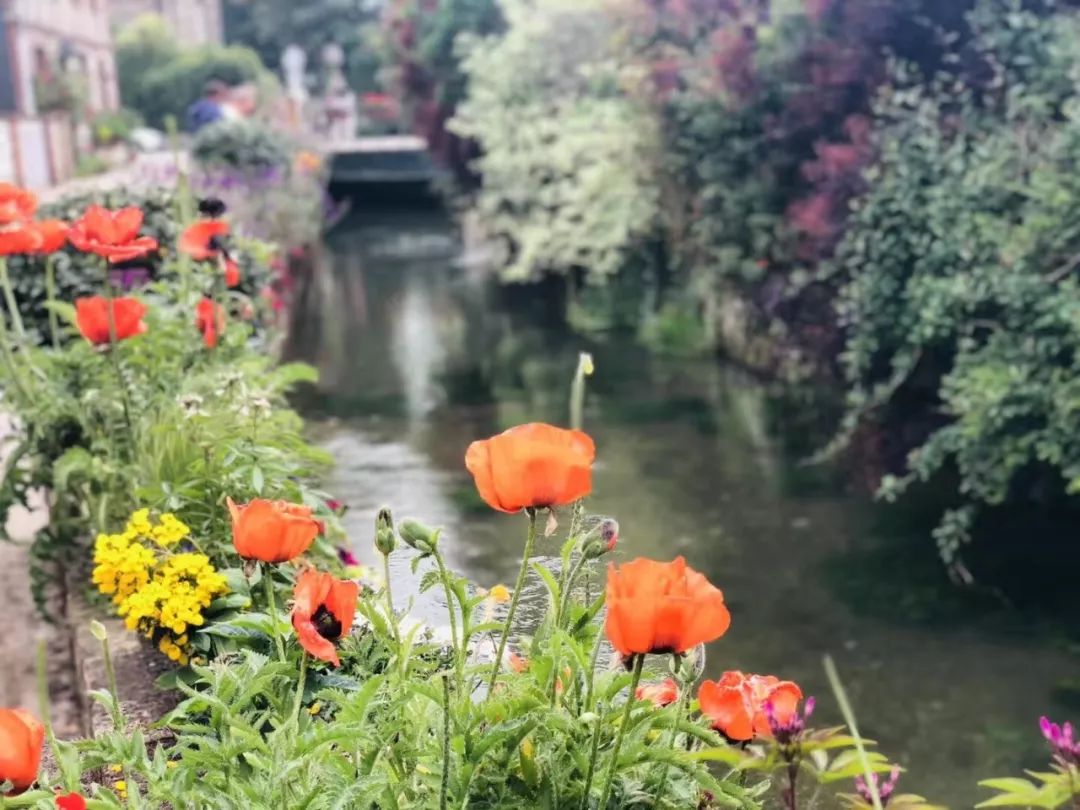 法国人旅游景点排行榜,法国旅游小城市推荐