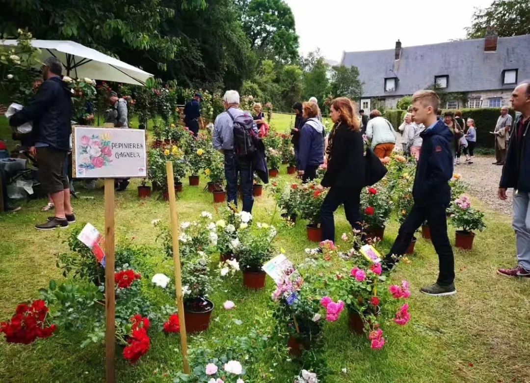 法国人旅游景点排行榜,法国旅游小城市推荐