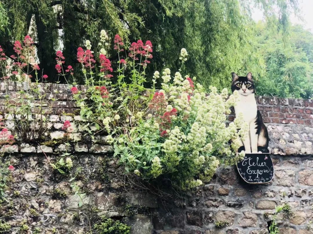 法国人旅游景点排行榜,法国旅游小城市推荐