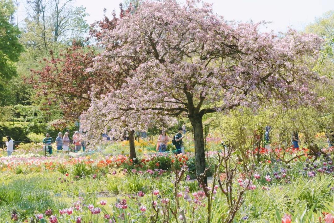 法国人旅游景点排行榜,法国旅游小城市推荐
