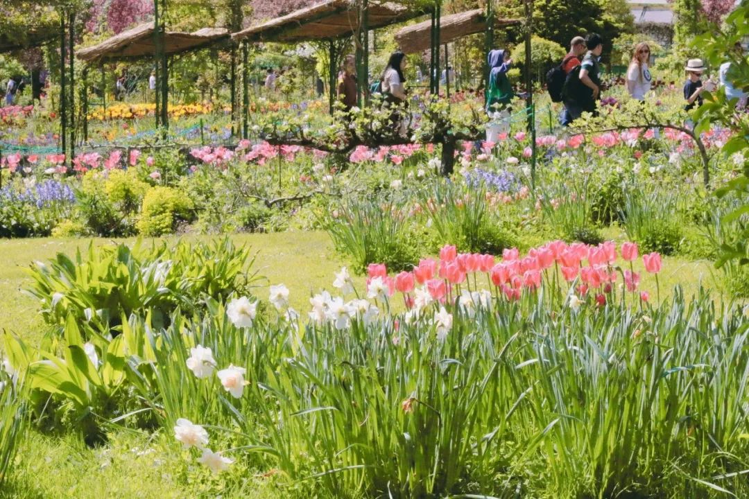 法国人旅游景点排行榜,法国旅游小城市推荐