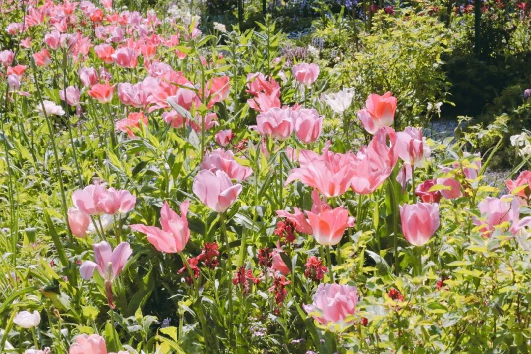 法国人旅游景点排行榜,法国旅游小城市推荐