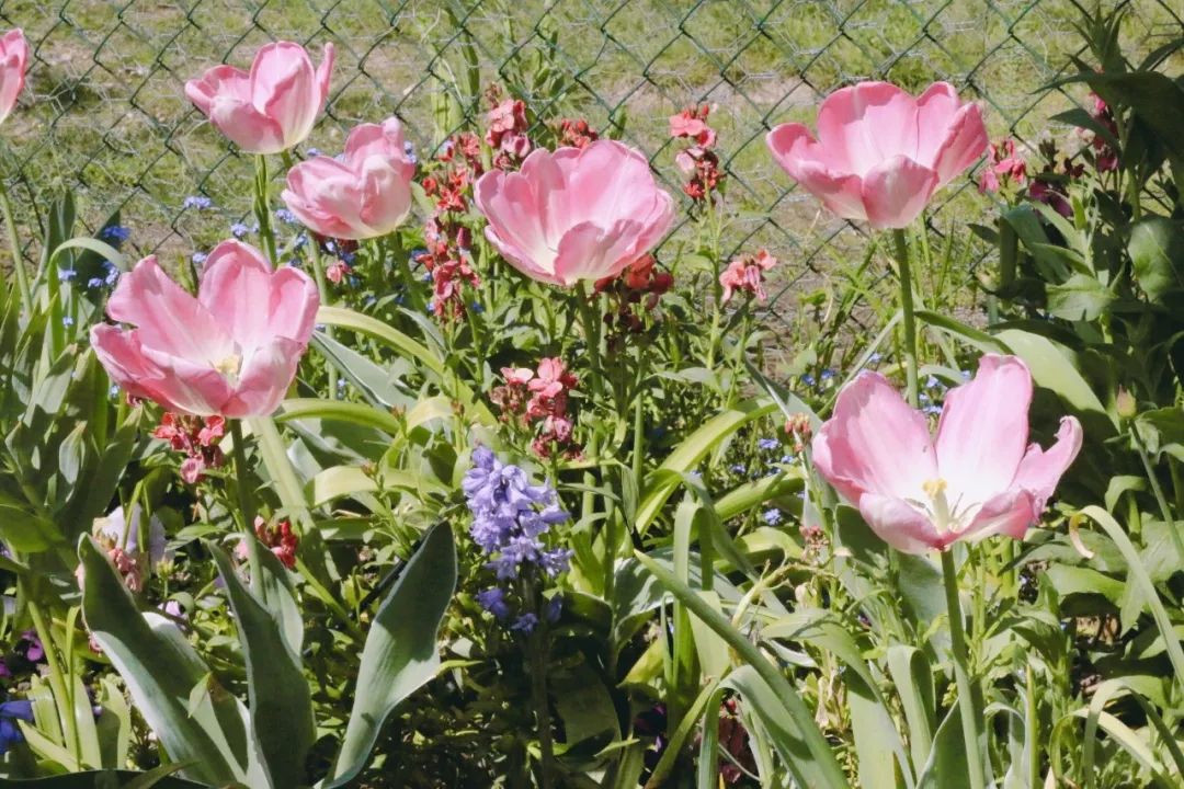 法国人旅游景点排行榜,法国旅游小城市推荐