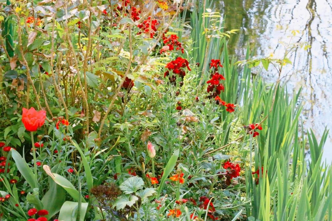 法国人旅游景点排行榜,法国旅游小城市推荐